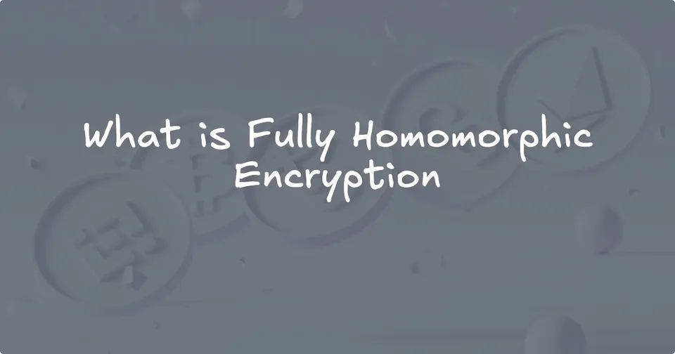 What is Fully Homomorphic Encryption